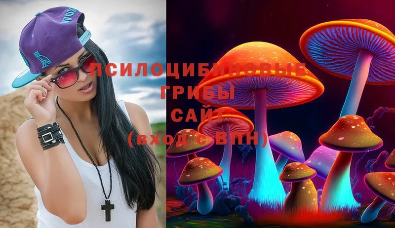 наркошоп  Урай  Галлюциногенные грибы Psilocybe 